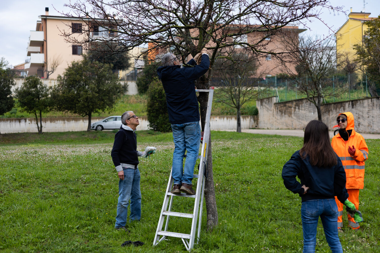 echoes rigenerazione giardino liceo galilei ancona e murales jassart 6
