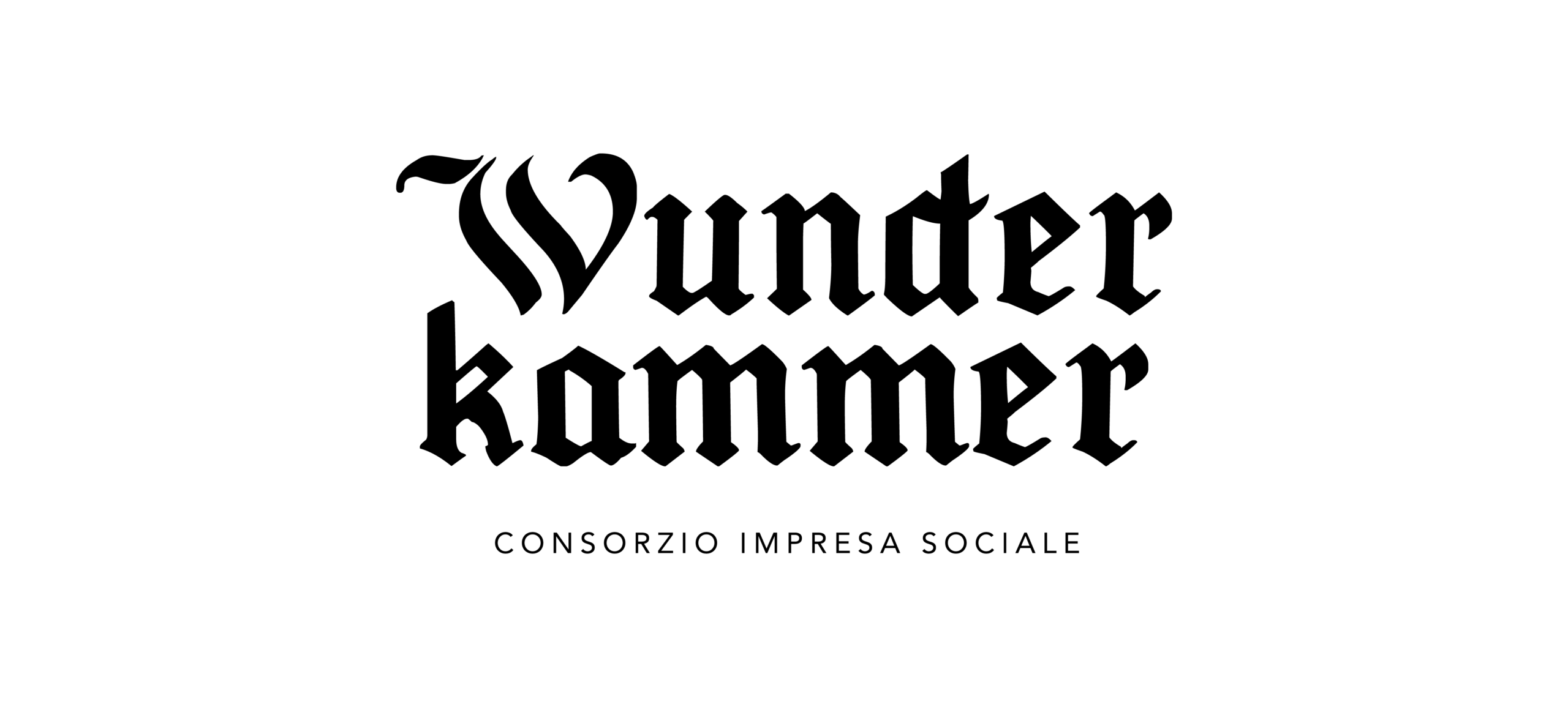 Logo Wunderkammer