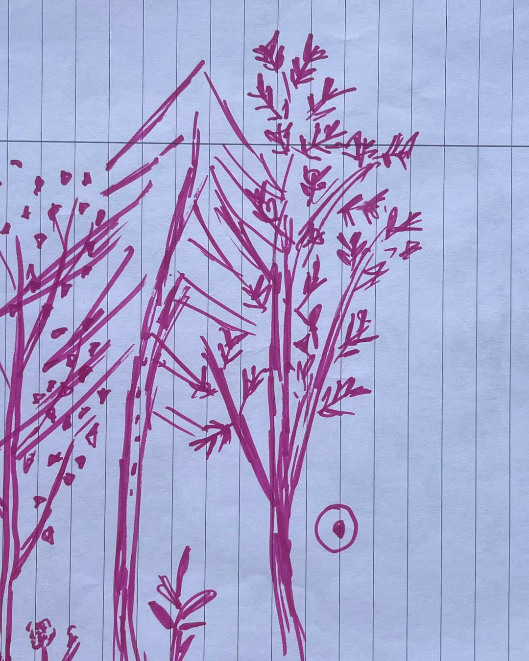 disegno Val Saviore laboratorio Disegnare la Pietra - Nonturismo.jpg