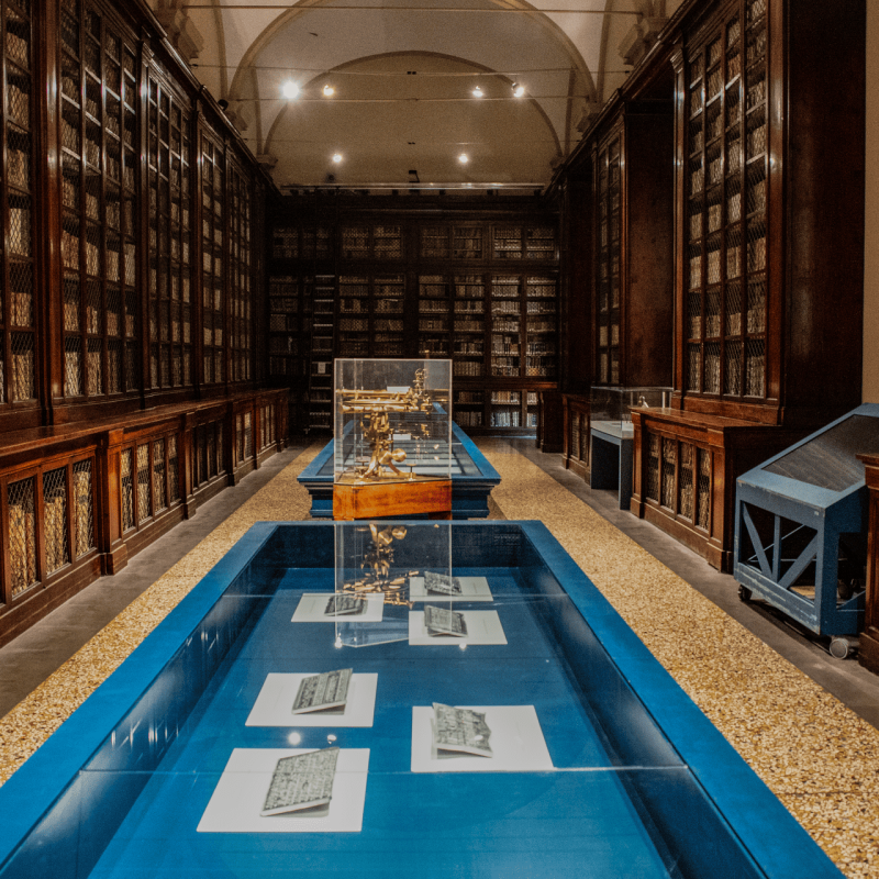 Deeptime by Jerry Galle. Prompting the Real exhibition, November 15&ndash;16, 2025, Museo di Palazzo Poggi, Bologna. Photo by Eleonora Rossi I Sineglossa (26)