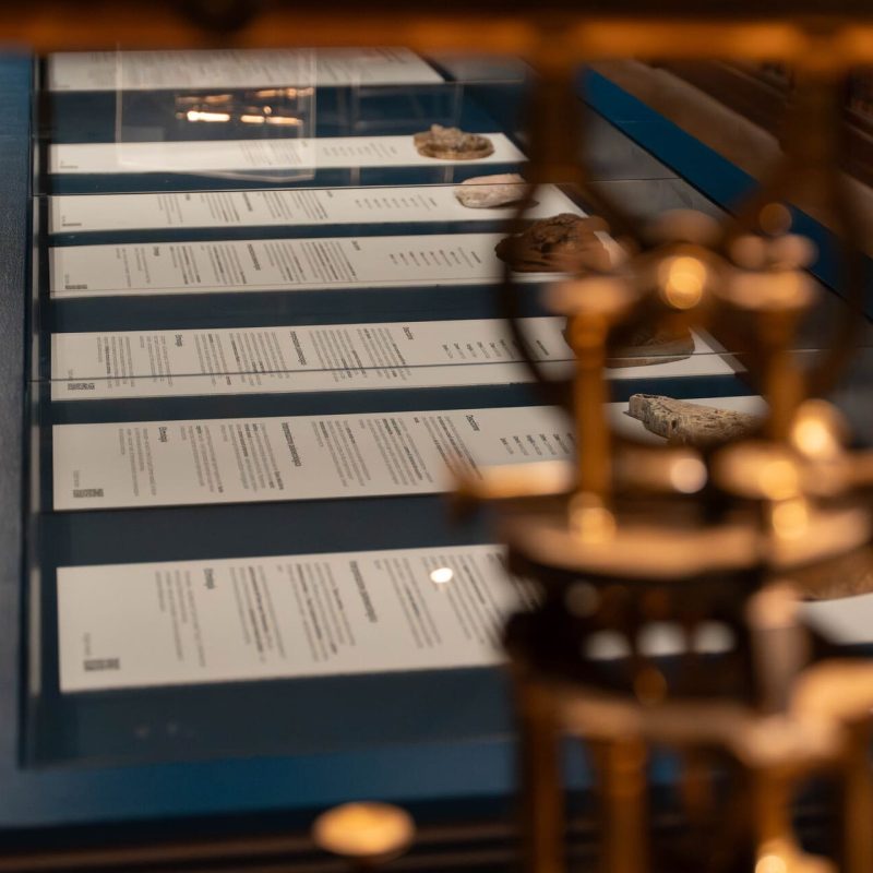 Deeptime by Jerry Galle. Prompting the Real exhibition, November 15&ndash;16, 2025, Museo di Palazzo Poggi, Bologna. Photo by Kaled Mohamed for Sineglossa (3)