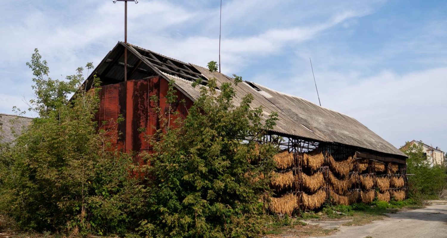 Discovery Guide — photo from the art residency in Ukraine, September 2025 - essiccatoio di tabacco 1