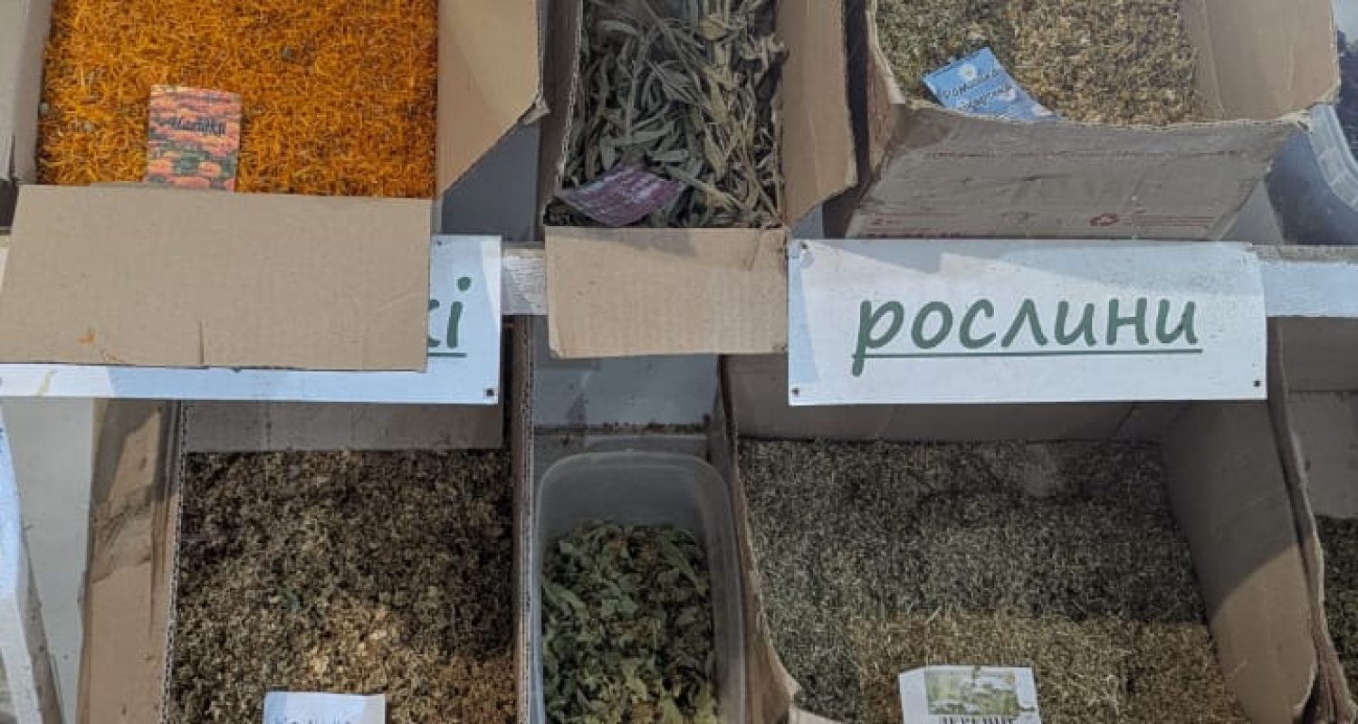Discovery Guide — photo from the art residency in Ukraine, September 2025 - foto tisane ed erbe