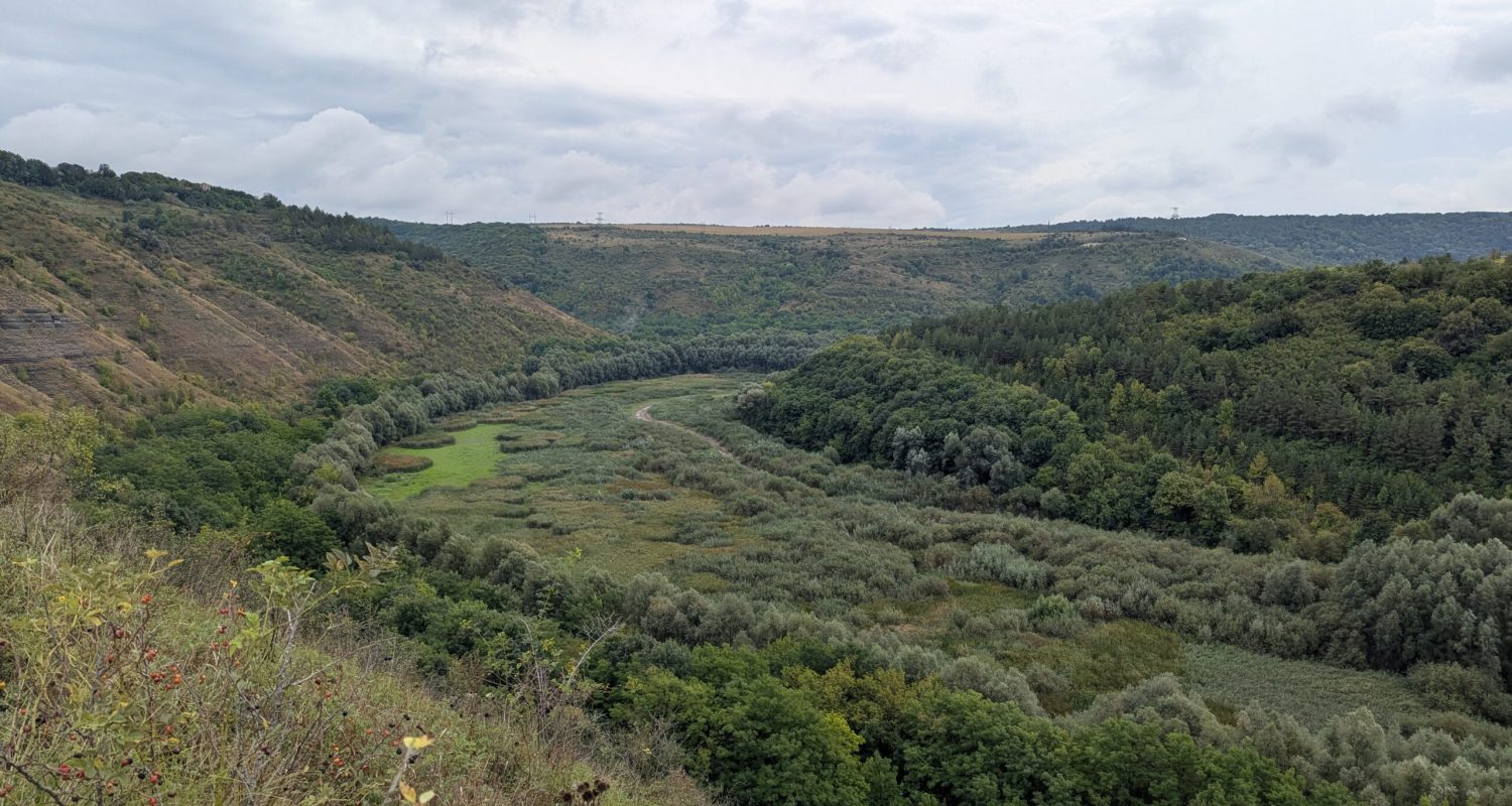 Discovery Guide — photo from the art residency in Ukraine, September 2025 - visita scavi 11