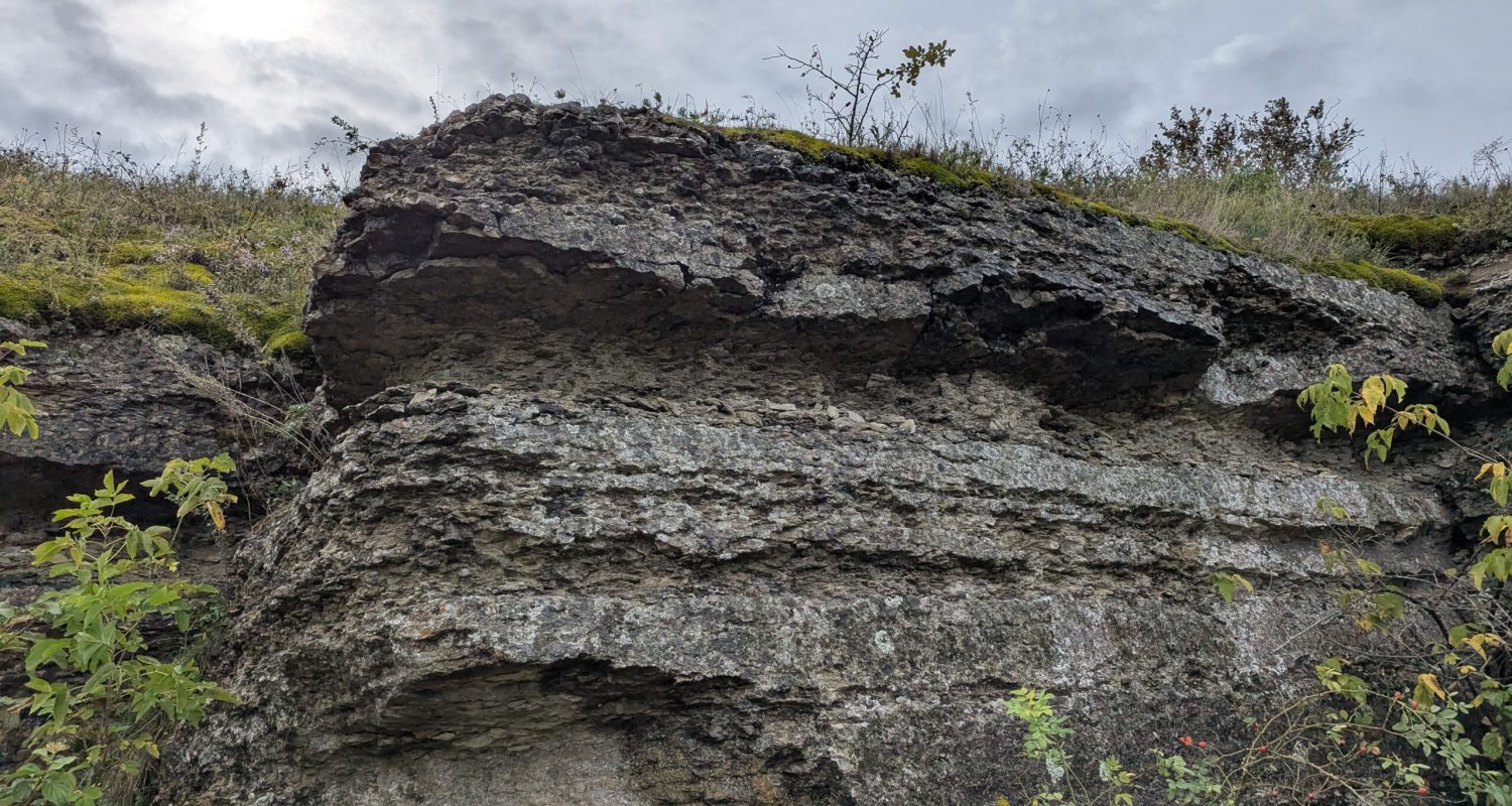Discovery Guide — photo from the art residency in Ukraine, September 2025 - visita scavi 13
