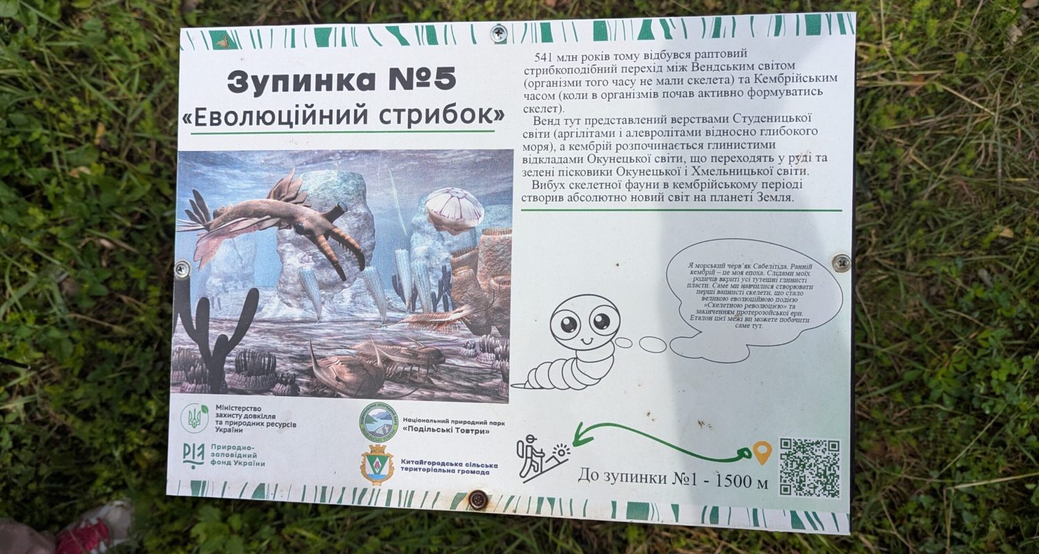 Discovery Guide — photo from the art residency in Ukraine, September 2025 - visita scavi 16