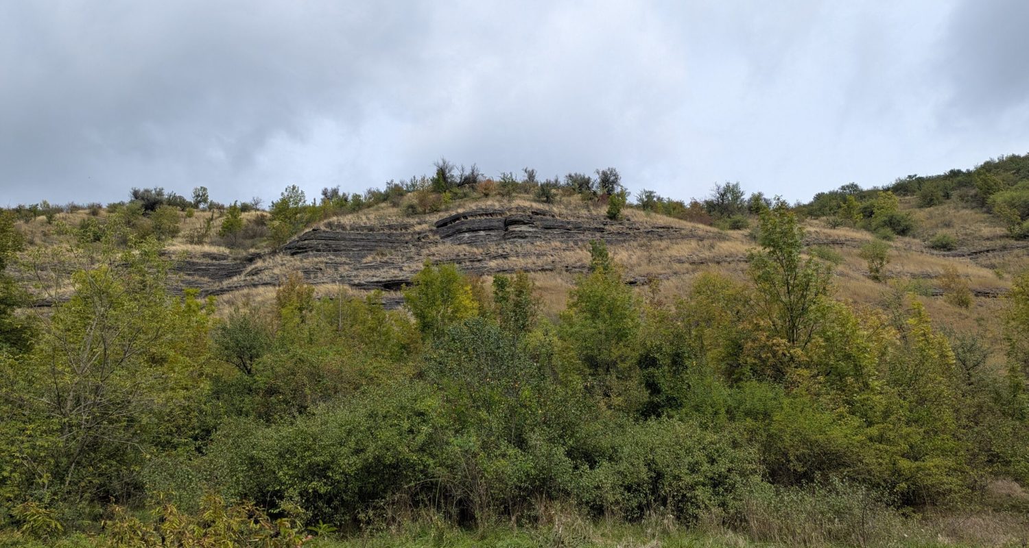 Discovery Guide — photo from the art residency in Ukraine, September 2025 - visita scavi 17