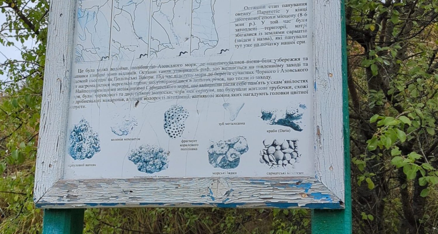 Discovery Guide — photo from the art residency in Ukraine, September 2025 - visita scavi 7