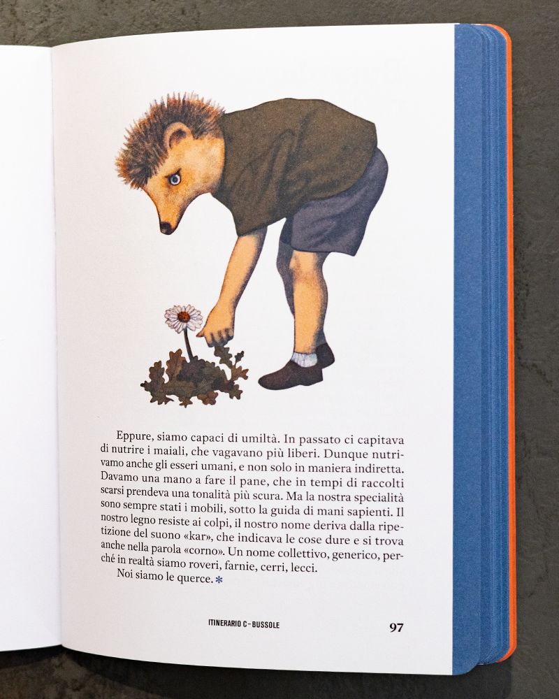 Foto Guida Nonturismo Val di Fiastra, 2025, Ediciclo Editore, dettaglio illustrazione Claudia Palmarucci - 2