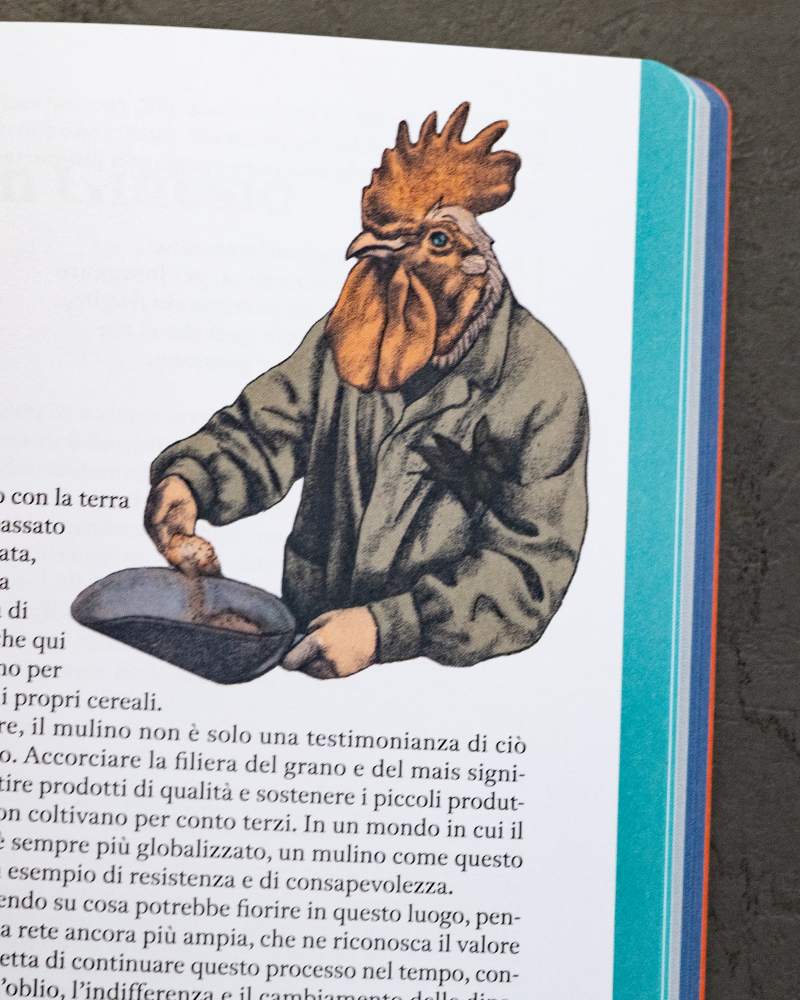 Foto Guida Nonturismo Val di Fiastra, 2025, Ediciclo Editore, dettaglio illustrazione Claudia Palmarucci