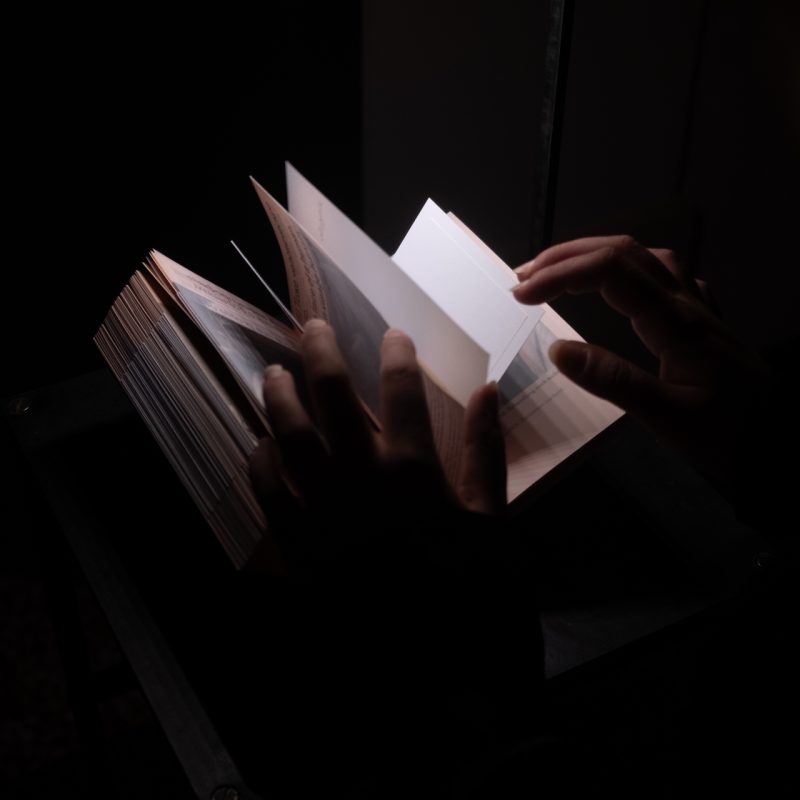 Prompting the Real exhibition, November 15&ndash;16, 2025, Palazzo Poggi, Bologna. Photo by Giacomo Cappella I Sineglossa (8523)