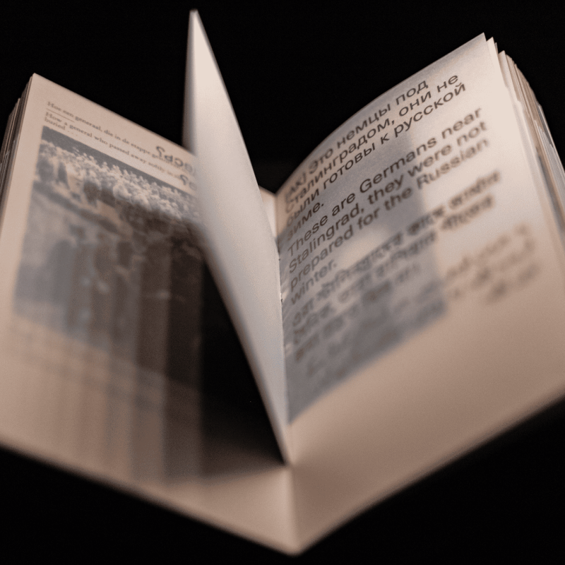 Silent Hero by Alexey Yurenev. Prompting the Real exhibition, November 15&ndash;16, 2025, Museo di Palazzo Poggi, Bologna. Photo by Eleonora Rossi _ Sineglossa (58)