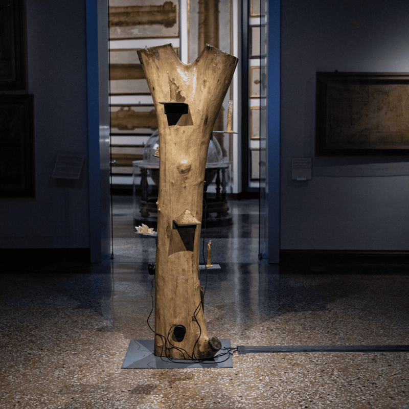 Water Clocks di Roberto Pugliese, Mostra Prompting the real 15 e 16 Novembre 2025 Palazzo Poggi Bologna, ph Eleonora Rossi _ Sineglossa (7)